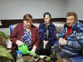 29 сентября - международный день фиалок.