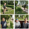 Полив цветов